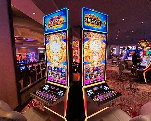 Live dealer table